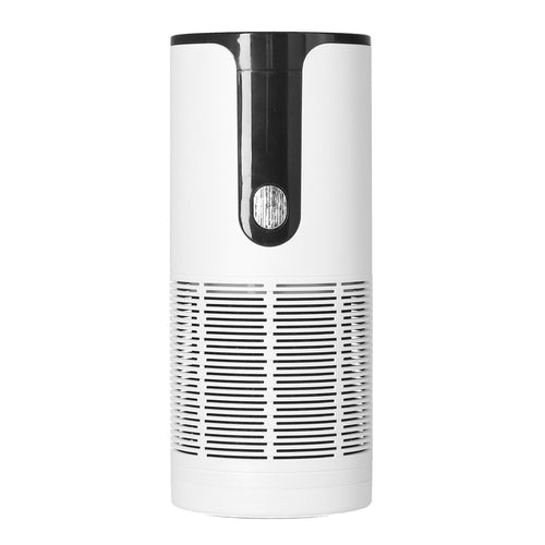 10 Million Negative Ion Air Purifier Portable Air Cleaner 3 Gear Adjustment for Home Car Accessories USB ChargingWhite